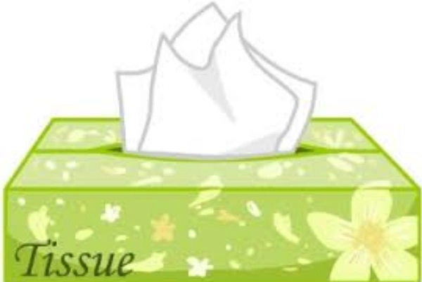 TISSUE PAPER BOX (QTY - 100 PULLS) SIZE - 18 CM X 20 CM